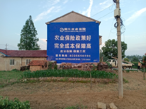 滨海墙体广告的优劣势你知道吗？