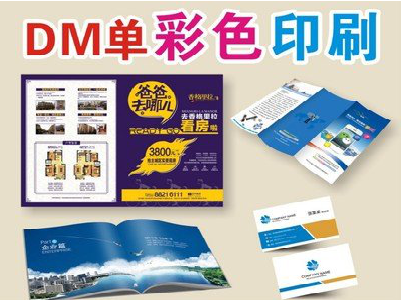 滨海单页印刷，色彩搭配简单。